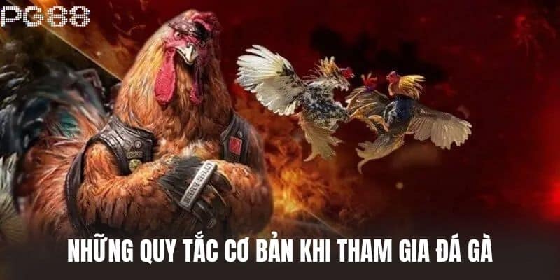 Những Quy Tắc Cơ Bản Khi Tham Gia Đá Gà