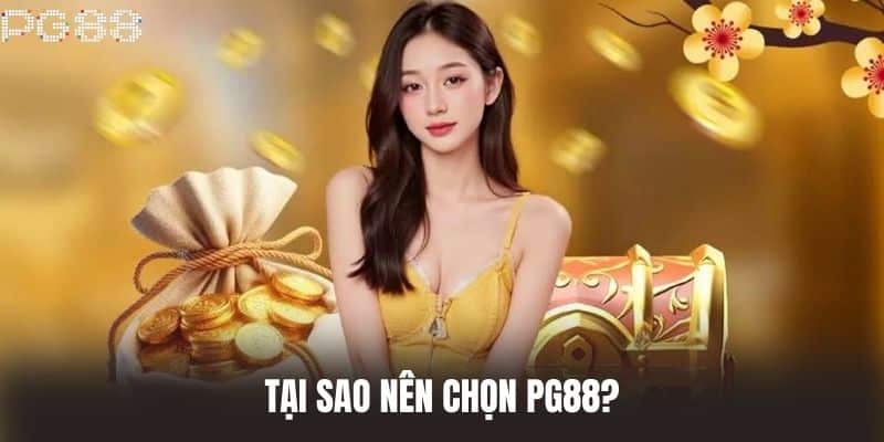 Tại sao nên chọn PG88?